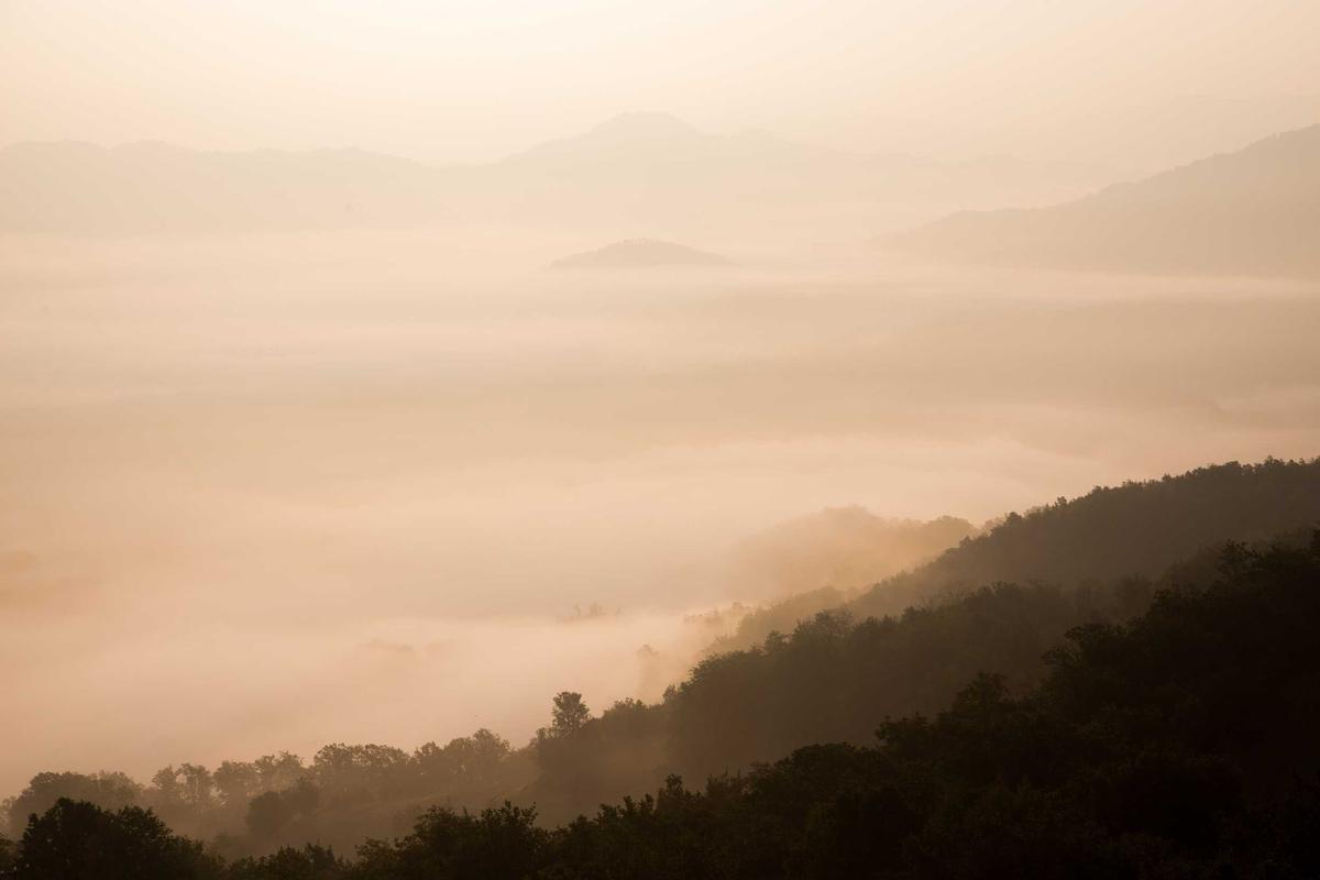 Carbon neutral certification documentation. carbon neutral process